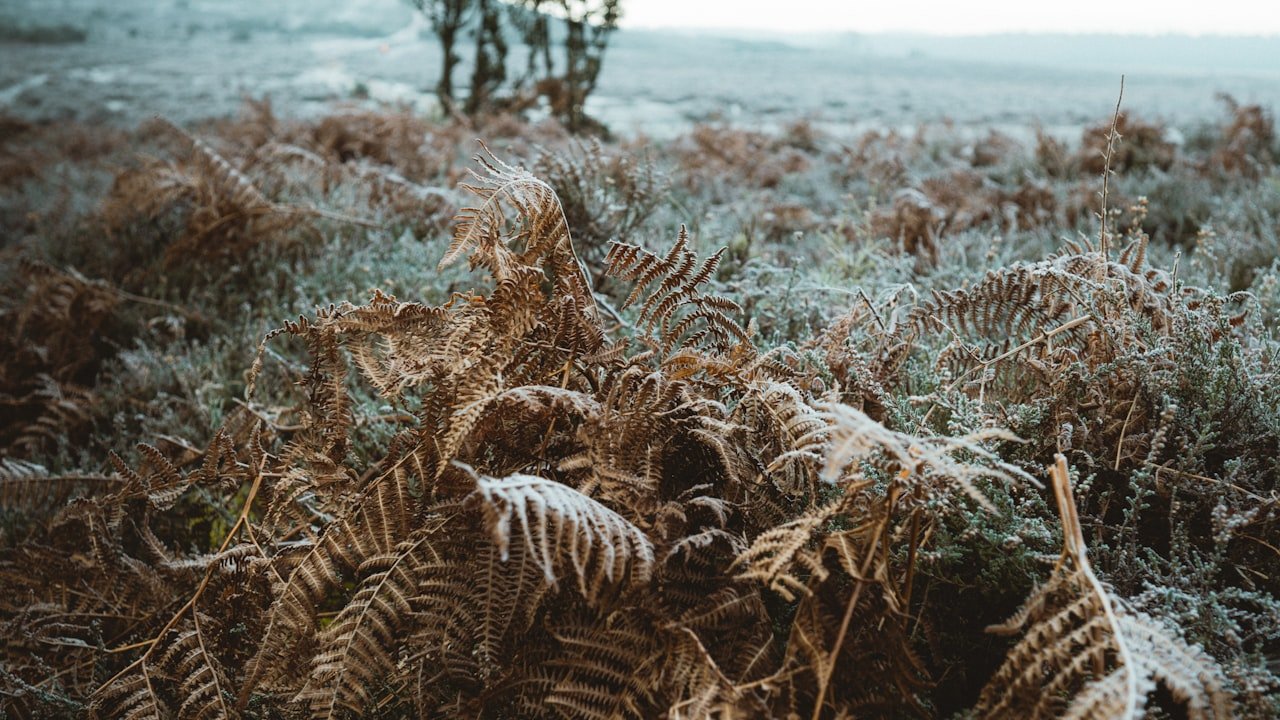 Essential factors that will help you improve the quality of your wood pellets
