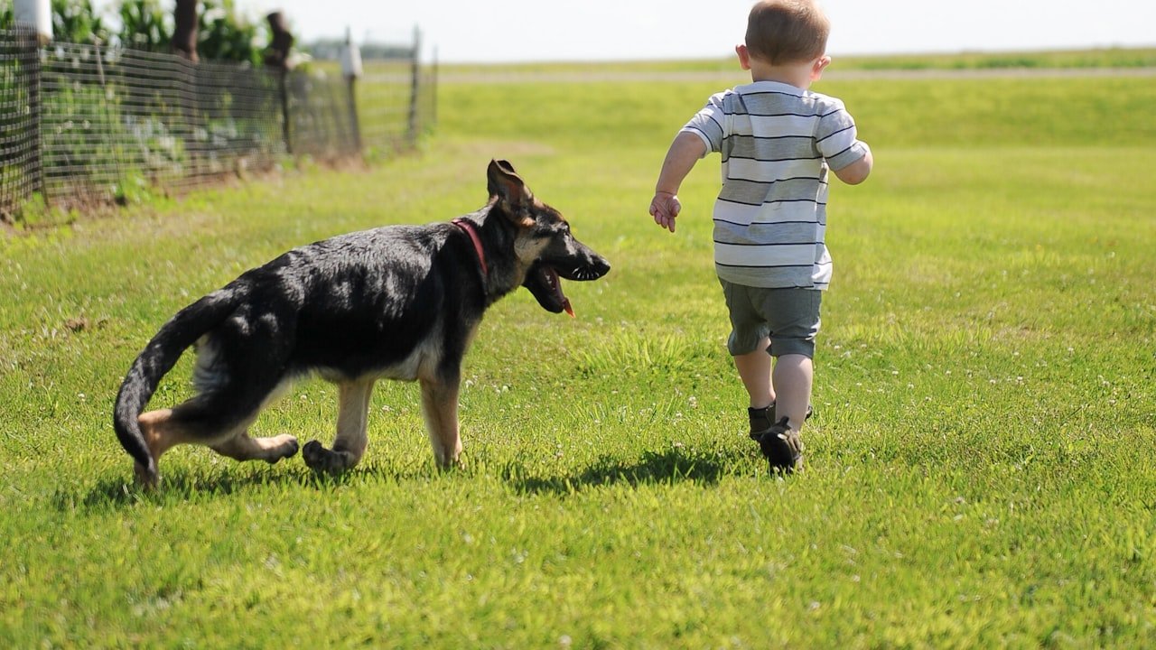 How Are The Boxing Shorts Made From Different Materials Customizable?