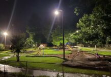 Where are LED Area and Site Lights Mainly Used?