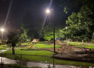 Where are LED Area and Site Lights Mainly Used?