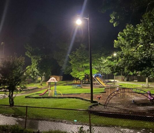 Where are LED Area and Site Lights Mainly Used?