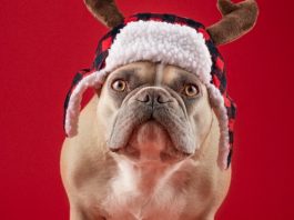 Always In Style: Fedora Hats