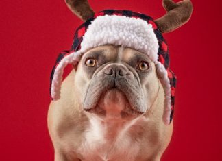 Always In Style: Fedora Hats