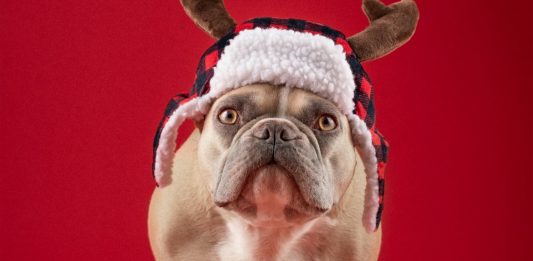 Always In Style: Fedora Hats