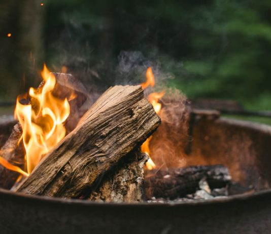 Extending Equipment Lifespan: Understanding the Importance of Wood Shredder and Grinder Wear Parts