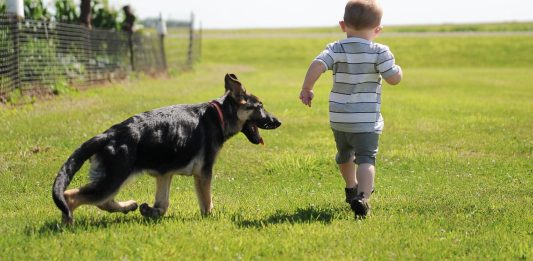 How Are The Boxing Shorts Made From Different Materials Customizable?