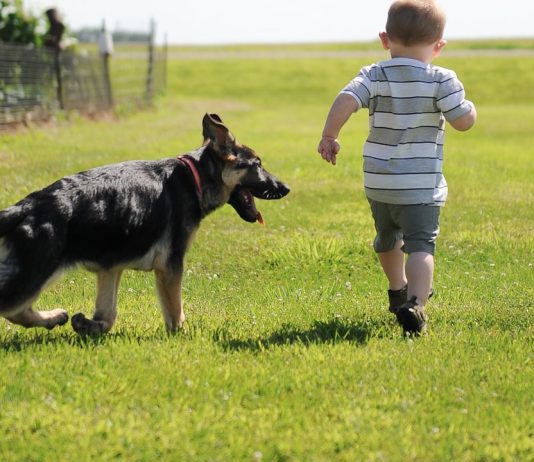How Are The Boxing Shorts Made From Different Materials Customizable?