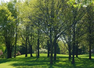 How Wi-Fi Instant Photo Printers Work?