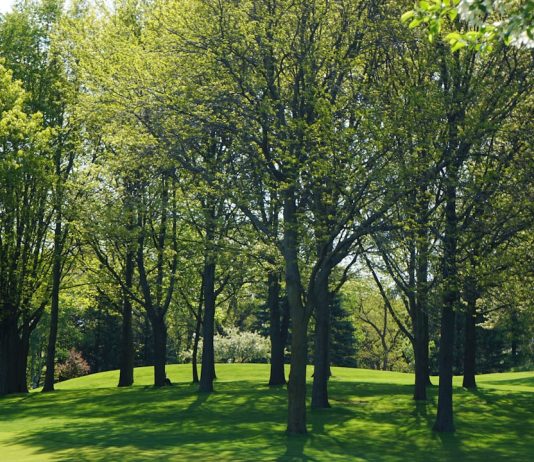 How Wi-Fi Instant Photo Printers Work?