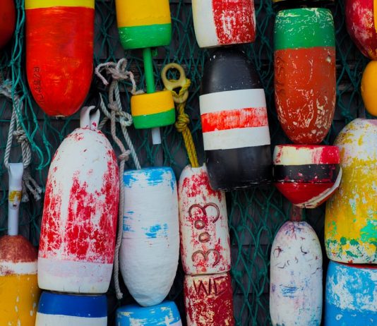 Tips To Maintain an HP Laptop Battery